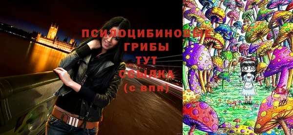 прущие грибы Снежинск