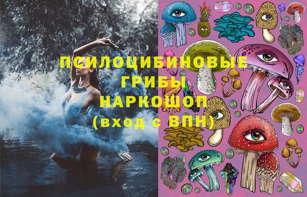 гашик Верея
