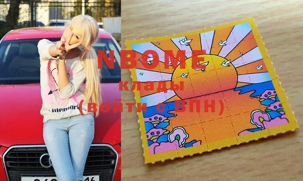 прущие грибы Снежинск