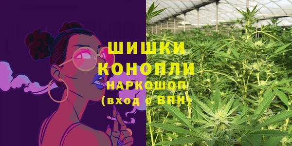гашик Верея