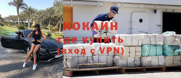 гашик Верея