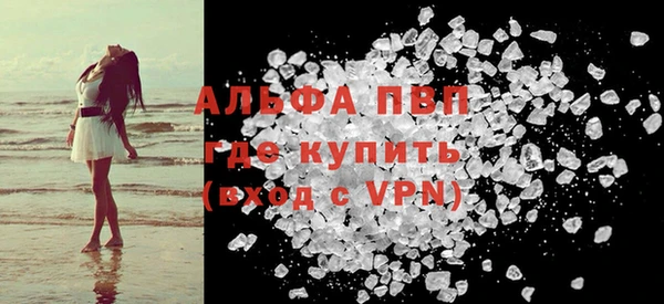 гашик Верея