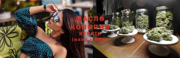 гашик Верея