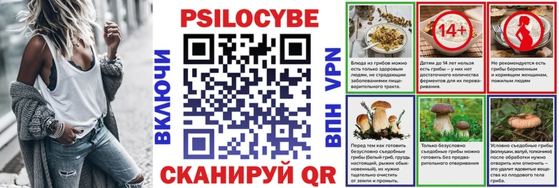 Галлюциногенные грибы MAGIC MUSHROOMS  где купить наркотик  Медногорск 